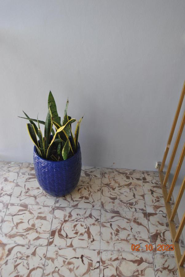 Apartamento Sleeps 8, Havana Nights In Miami Exterior foto